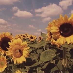 Meet your Posher, Alison